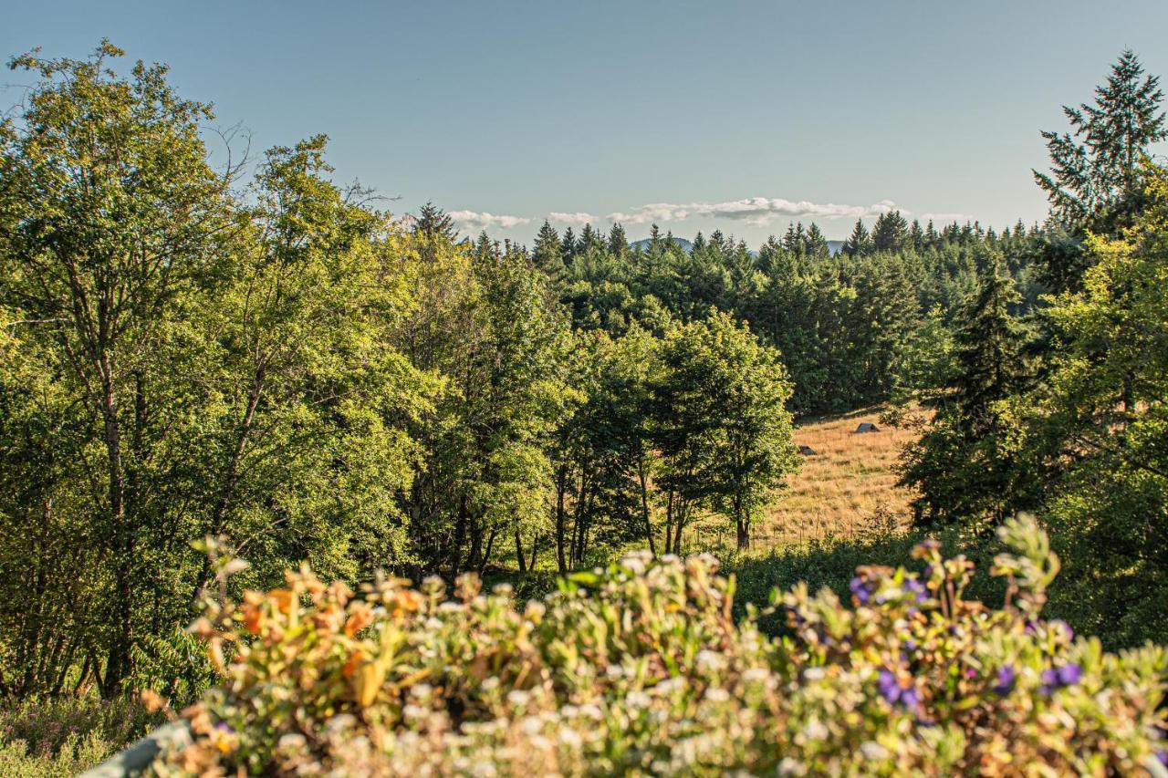 Healing Ponds Farm Villa Buxton Екстериор снимка