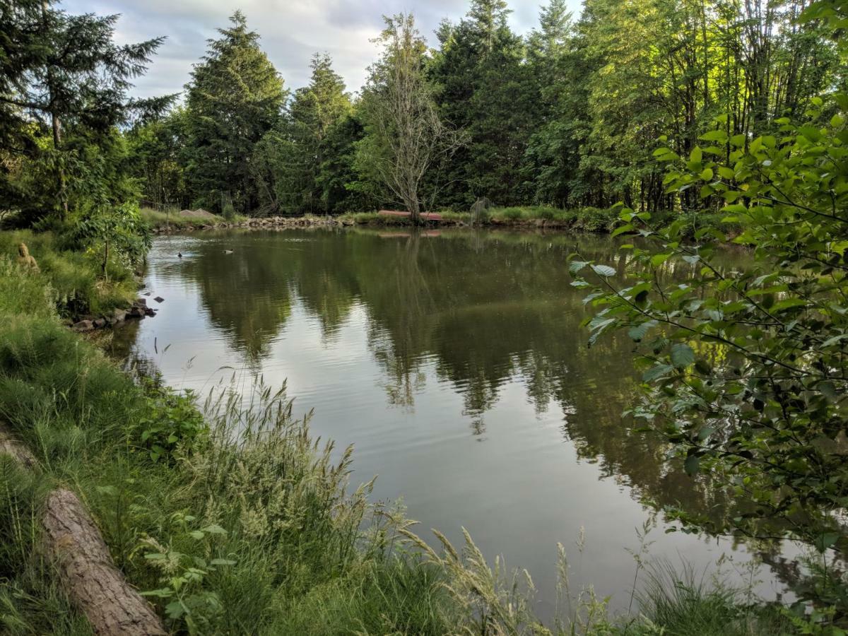 Healing Ponds Farm Villa Buxton Екстериор снимка